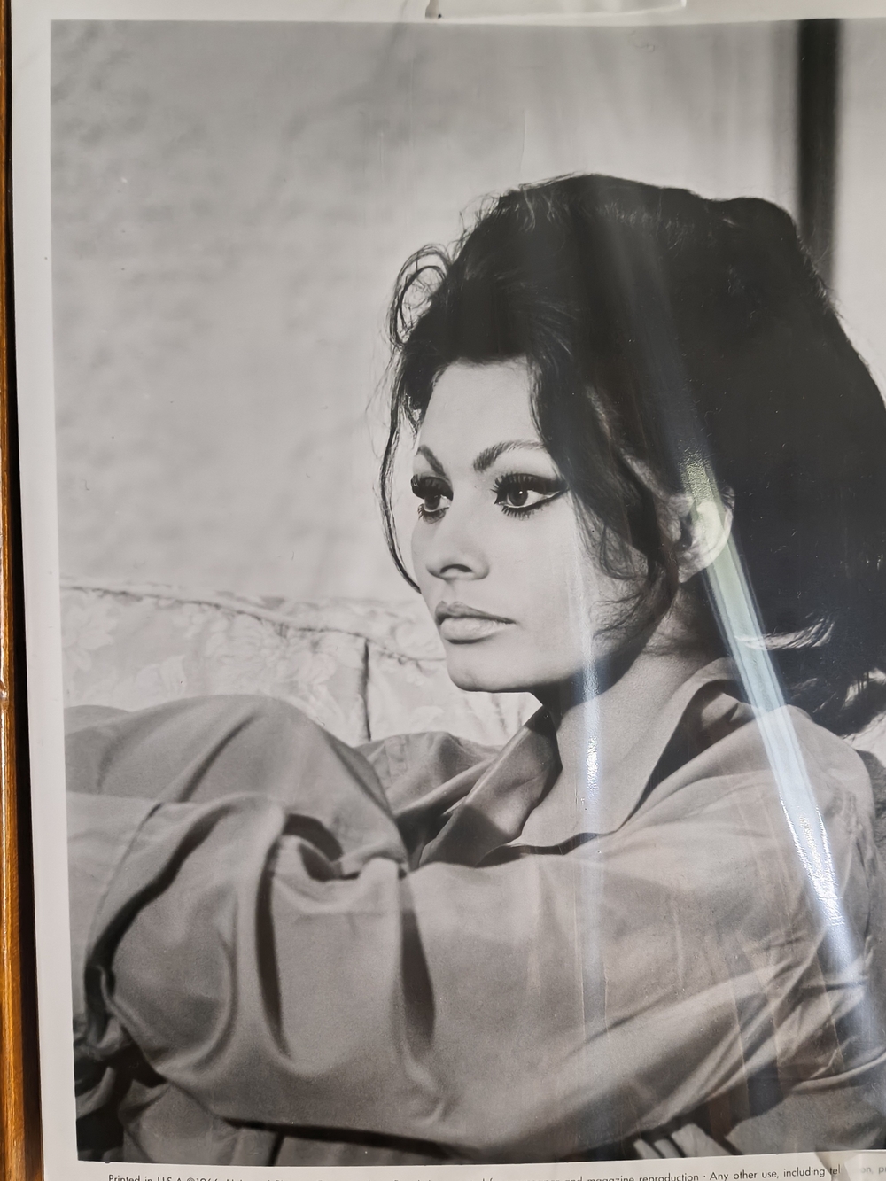 Vintage 1966 Sophia Loren Universal Pictures Studio Publicity Photo 8x10